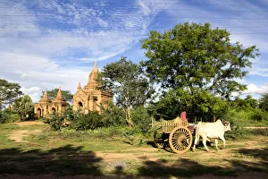 Oxcart Passing, Bagan Oxcart Passing, Bagan