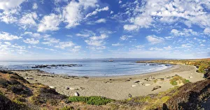 Pacific Coast with Northern elephant seals -Mirounga angustirostris- on beach with clouded sky, Piedras Blancas Pacific Coast with Northern elephant seals -Mirounga angustirostris- on beach with clouded sky, Piedras Blancas