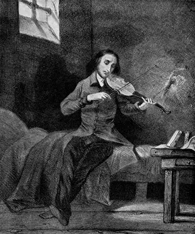 PAGANINI (XXXL) PAGANINI (XXXL)