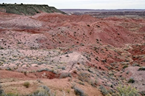Painted Desert, hills, desert landscape, view from Tiponi Point, Painted Desert, Holbrook Painted Desert, hills, desert landscape, view from Tiponi Point, Painted Desert, Holbrook