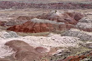 Painted Desert, hills, desert landscape, view from Tawa Point, Painted Desert, Holbrook Painted Desert, hills, desert landscape, view from Tawa Point, Painted Desert, Holbrook