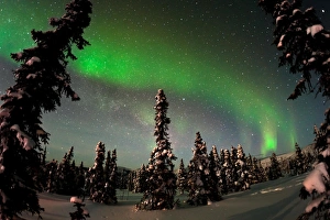 Painting The Sky With The Northern Lights Painting The Sky With The Northern Lights