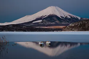 A pair of mute swans in Lake Kawaguchi in the reflection of Mt. Fuji, Japan A pair of mute swans in Lake Kawaguchi in the reflection of Mt. Fuji, Japan