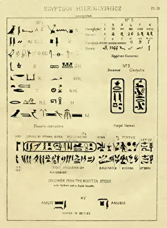 Palaeography Egyptian hieroglyphics interpreted Palaeography Egyptian hieroglyphics interpreted