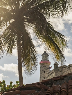 Palm tree near El Morro Fortress, Havana, Cuba Palm tree near El Morro Fortress, Havana, Cuba