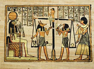 <b class=qtipBold><figcaption>Papyrus</figcaption></b><br>Egyptian PapayrusMore of my photos:<br><em>© stellalevi</em> Papyrus