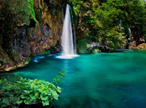 Paradise Paradise