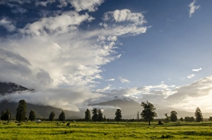 Pasture against the Southern Alps, Fox, South Island, New Zealand Pasture against the Southern Alps, Fox, South Island, New Zealand