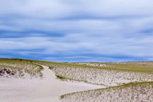 Path through Provinceland Dunes, Provincetown, Cape Cod National Seashore, Massachusetts Path through Provinceland Dunes, Provincetown, Cape Cod National Seashore, Massachusetts