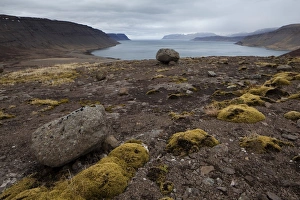 Patriksfjoerdur, West Fjords, Iceland, Europe Patriksfjoerdur, West Fjords, Iceland, Europe