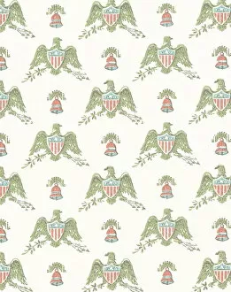 Images Dated 10th September 2003: Patriotic American pattern