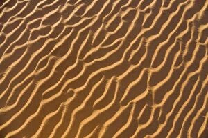 Related Images Collection: Patterns in the sand, Libyan Desert, Sahara, Libya, North Africa, Africa