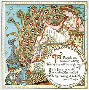 <b class=qtipBold><figcaption>The Peacocks Complaint</figcaption></b><br>Vintage lithograph of scene from The Peacocks Complaint<br><em>© duncan1890</em> The Peacocks Complaint