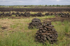 Peat briquettes used for fuel in private homes are dried by the citizens themselves, Birr, Leinster, Republic of Ireland, Europe
