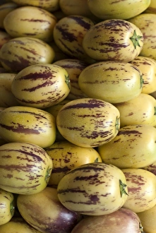 Pepino Dulce or Melon Pear -Solanum muricatum- Pepino Dulce or Melon Pear -Solanum muricatum-
