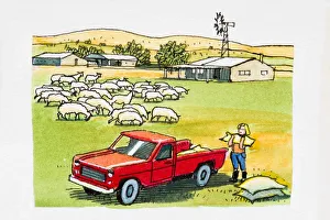 Images Dated 7th February 2008: Person loading sacks into pickup truck, sheep grazing nearby, farm buildings