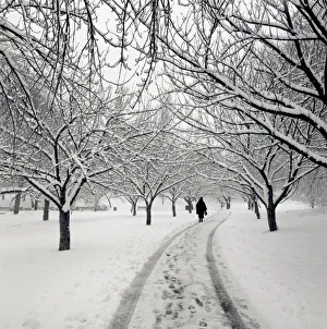 Person walking on path through snow Person walking on path through snow