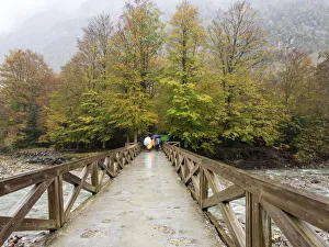 Persons with umbrellas that walk on a bridge of wood that crosses a river in a forest in Persons with umbrellas that walk on a bridge of wood that crosses a river in a forest in