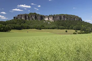 Pfaffenstein low table mountain, Elbe Sandstone Mountains, Saxony, Germany, Europe Pfaffenstein low table mountain, Elbe Sandstone Mountains, Saxony, Germany, Europe