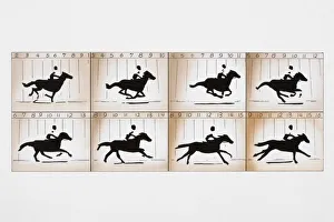 Photographic frames on two film strips depicting action sequence of man riding horse Photographic frames on two film strips depicting action sequence of man riding horse