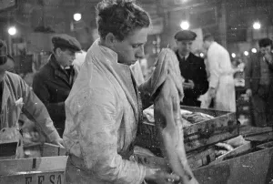 Fishing Industry In England Prints: Checking The Cod