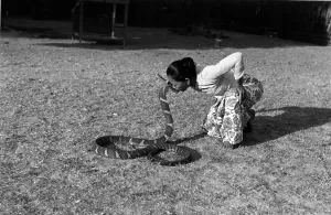 Vintage Animal Photos Prints: Snake Charmer