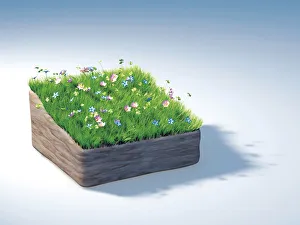 Piece of land with a flowering meadow, illustration Piece of land with a flowering meadow, illustration