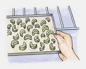 Pieces of celery on a baking tray being placed in the oven Pieces of celery on a baking tray being placed in the oven