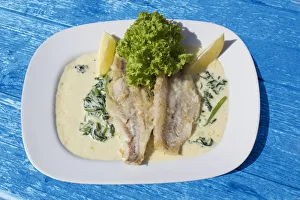Pike-perch fillet on a bed of spinach with cream sauce Pike-perch fillet on a bed of spinach with cream sauce