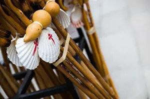 Pilgrimage walking sticks with a scallop shell Pilgrimage walking sticks with a scallop shell
