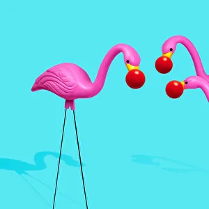 Three plastic flamingos wearing red noses Three plastic flamingos wearing red noses
