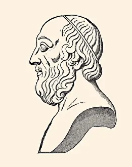 PLATO (XXXL) PLATO (XXXL)