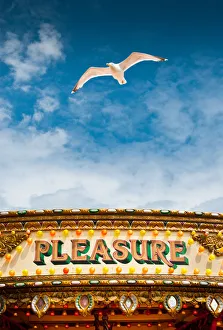 <b class=qtipBold><figcaption>Pleasure</figcaption></b><br>Seagull flying in patch of blue sky above carousel with word Pleasure painted in an ornate style.<br><em>© © Nick Eastham 2009</em> Pleasure
