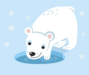 Polar bear cub standing on icy suface, dipping paw into water revealed in circular hole Polar bear cub standing on icy suface, dipping paw into water revealed in circular hole