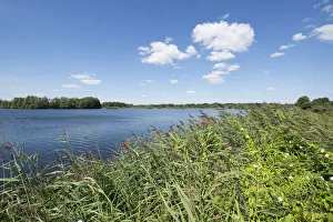 Pond landscape, Meissendorf Lakes Nature Reserve, Meissendorf, Lower Saxony, Germany Pond landscape, Meissendorf Lakes Nature Reserve, Meissendorf, Lower Saxony, Germany