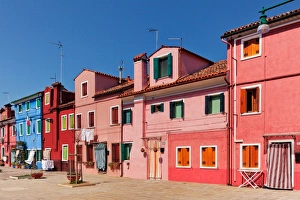 Images Dated 24th August 2011: Popping Colour
