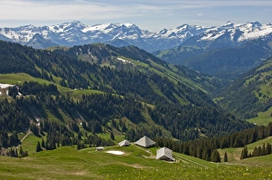 Pre-alpine landscape with alpine cabins, the snow-capped Bernese Alps at the back Pre-alpine landscape with alpine cabins, the snow-capped Bernese Alps at the back