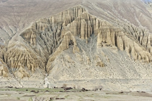 Prehistoric caves in a bizarre erosion landscape, near Ghami, Upper Mustang, Lo, Nepal Prehistoric caves in a bizarre erosion landscape, near Ghami, Upper Mustang, Lo, Nepal