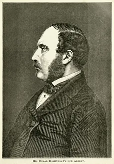 German Culture Gallery: Prince Albert, consort of Queen Victoria