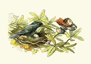 Princess Nobody - Fairy stealing birds egg Princess Nobody - Fairy stealing birds egg