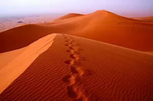 Prints in the desert sands, Merzouga dunes