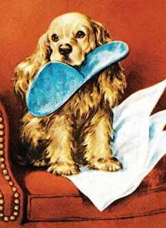 Images Dated 20th August 2003: Puppy with slipper