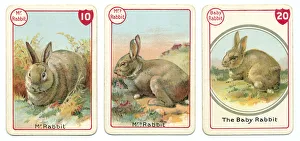 Three rabbit playing cards Victorian animal families game Three rabbit playing cards Victorian animal families game