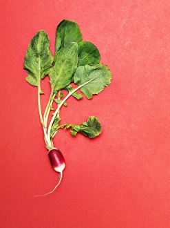 Radish with leaves