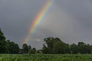 Rainbow over a cornfield, North Rhine-Westphalia, Germany Rainbow over a cornfield, North Rhine-Westphalia, Germany