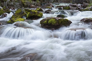 Rapids in the river Njupan, Fulufjallet National Park, Dalarnas lan, Dalarna County, Sweden Rapids in the river Njupan, Fulufjallet National Park, Dalarnas lan, Dalarna County, Sweden