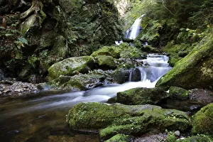 Ravennaschlucht gorge near Hinterzarten, Black Forest, Baden-Wuerttemberg, Germany, Europe Ravennaschlucht gorge near Hinterzarten, Black Forest, Baden-Wuerttemberg, Germany, Europe