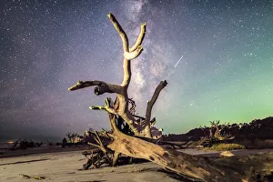 <b class=qtipBold><figcaption>Reaching for the Galaxy</figcaption></b><br>Reaching for the Milky Way Galaxy at Saint Helena Island, SC on 09/17/2017. This is an uprooted tree from Hurricane Irma.<br><em>© ROBERT LOE</em> Reaching for the Galaxy