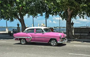 Real Cuban city life image with a pink vintage car riding by Havanas harbor Real Cuban city life image with a pink vintage car riding by Havanas harbor