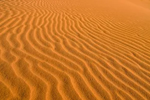 Red dunes, Kgalagadi Transfrontier Park, Kalahari Desert, Northern Cape, South Africa Red dunes, Kgalagadi Transfrontier Park, Kalahari Desert, Northern Cape, South Africa